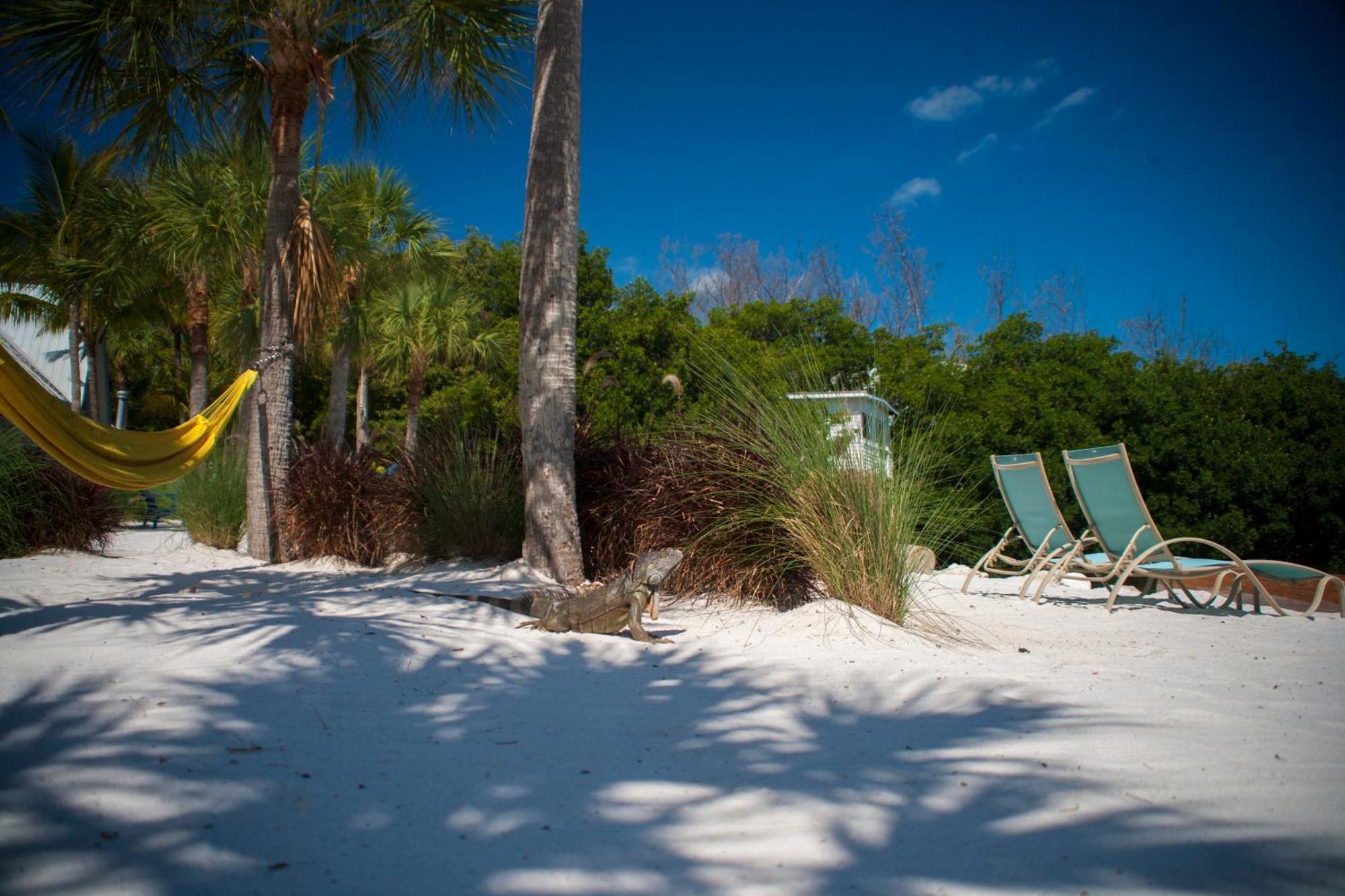 Ibis Bay Resort Cayo Hueso Habitación foto